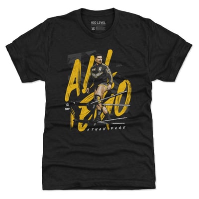  Ethan Page 500 Level All Ego Premium Tri-Blend T-Shirt - Heather Black